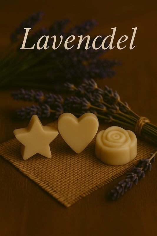 Lavendel